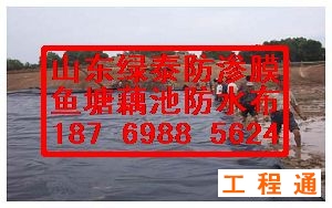 41960.3681544676_7