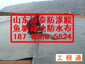 41960.3681016667_2