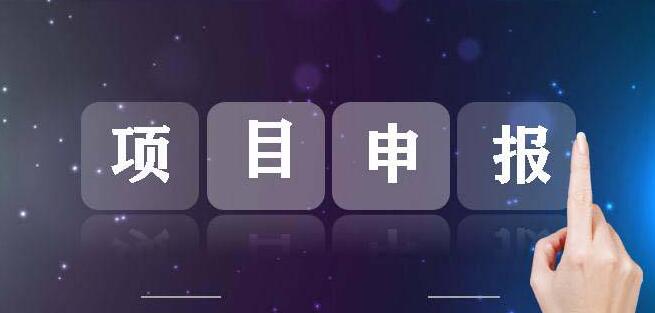 廣西提供重大項目申報服務(wù)的公司