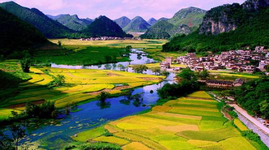 廣西關(guān)于進(jìn)一步加強(qiáng)和規(guī)范設(shè)施農(nóng)業(yè)用地管理的通知