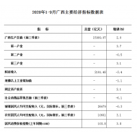 廣西承接建設(shè)項(xiàng)目前期工作咨詢的公司