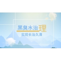 承接廣西排污口論證報告_整治黑臭水體技術(shù)方案