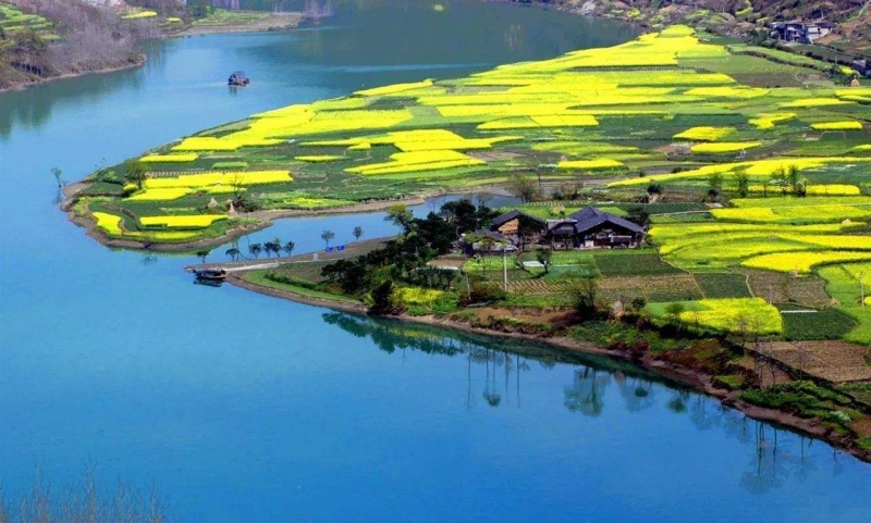 鄉(xiāng)村振興