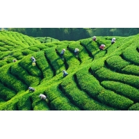 農(nóng)業(yè)水土保持方案報(bào)告書的編制依據(jù)
