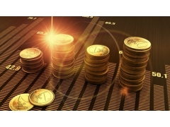 項(xiàng)目投資風(fēng)險評定（評審）報告的格式和內(nèi)容