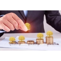 湖南農(nóng)業(yè)資金申請報告編制