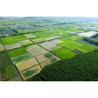 湖南長(zhǎng)沙關(guān)于農(nóng)田資源專業(yè)咨詢公司