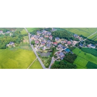 代編湖南國(guó)土空間規(guī)劃_產(chǎn)業(yè)發(fā)展規(guī)劃