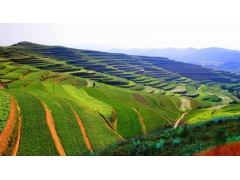 房地產(chǎn)項目水土保持監(jiān)測季度報告表資料清單_廣東專業(yè)水保編制