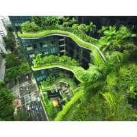 綠色建筑設(shè)計(jì)評(píng)價(jià)標(biāo)識(shí)申報(bào)材料_廣西扶綏綠色建筑方案