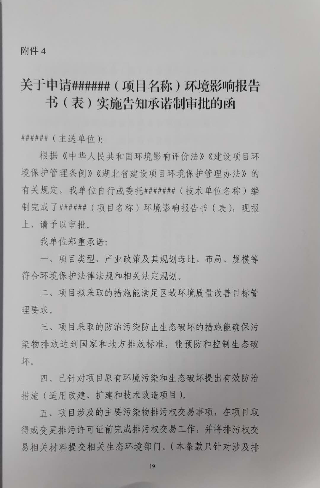 關于申請（項目名稱）環(huán)境影響報告書（表）實施告知承諾制審批的函
