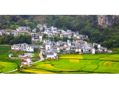 農(nóng)村一二三產(chǎn)業(yè)融合發(fā)展項目是什么？廣東產(chǎn)業(yè)發(fā)展規(guī)劃