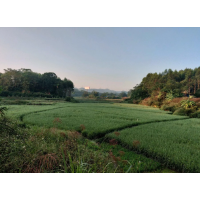 什么是土地復(fù)墾費(fèi)？廣西做土地復(fù)墾方案的公司