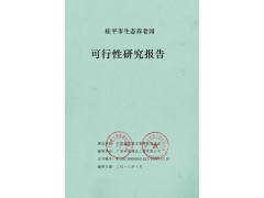 簡單來講，可行性研究報(bào)告是什么？哪個(gè)部門審批？廣西可行性研究報(bào)告工程師