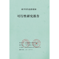 簡(jiǎn)單來(lái)講，可行性研究報(bào)告是什么？哪個(gè)部門審批？廣西可行性研究報(bào)告工程師